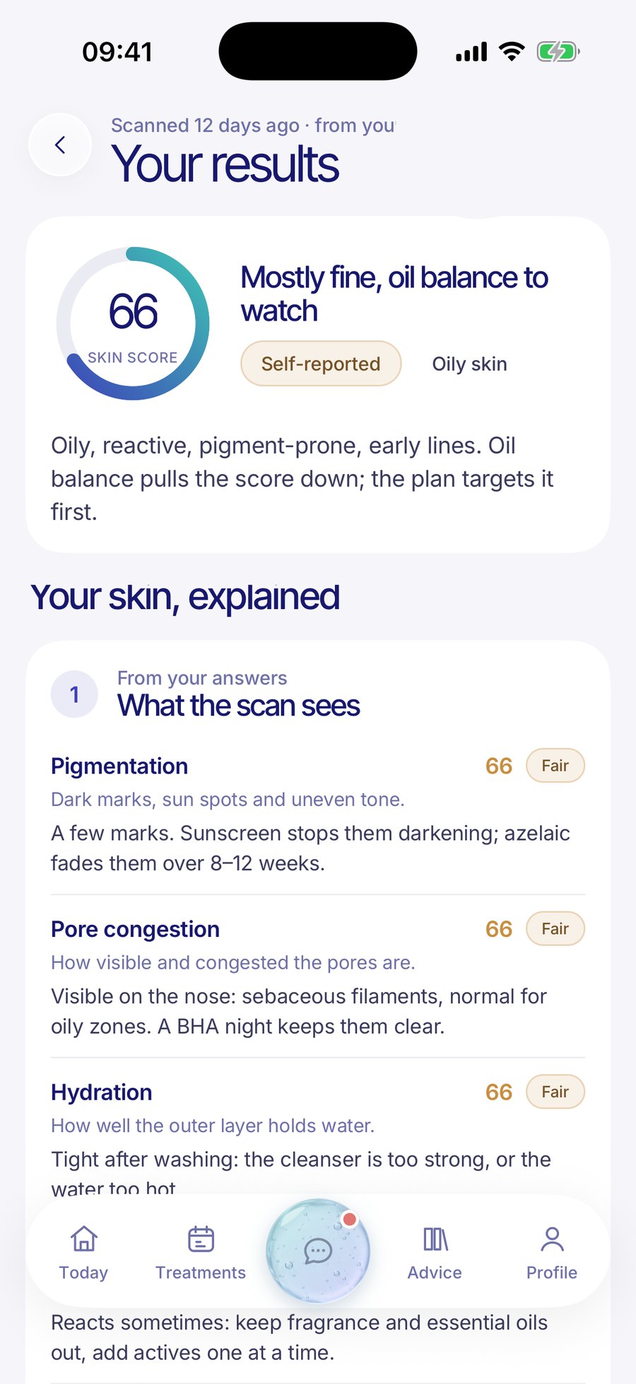 Your results: the skin score and your skin explained
